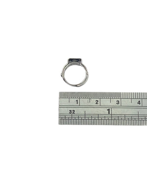 S/S Hose Clamp 8.5-10.5mm