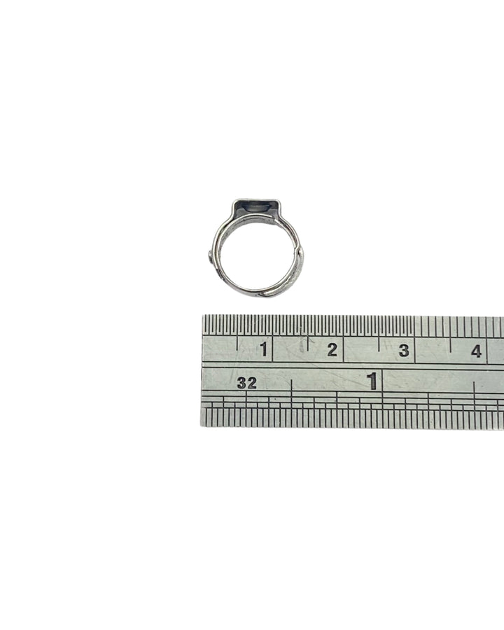 S/S Hose Clamp 8.5-10.5mm - WilliamsWarn