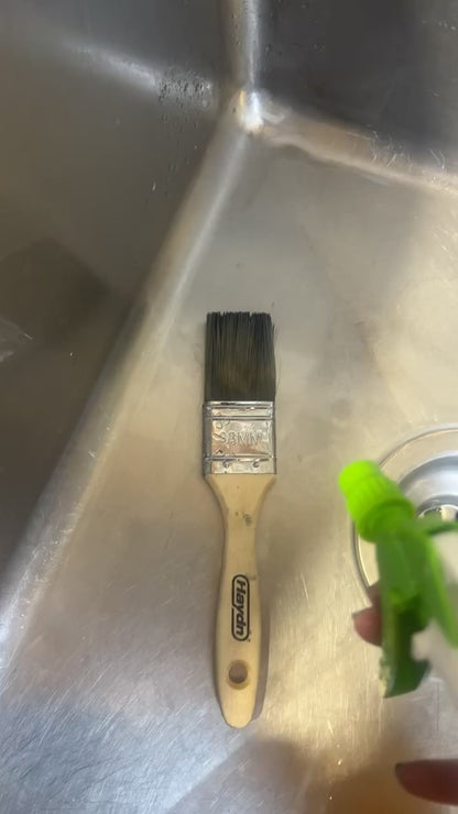Citra-Force paintbrush cleaning demonstration