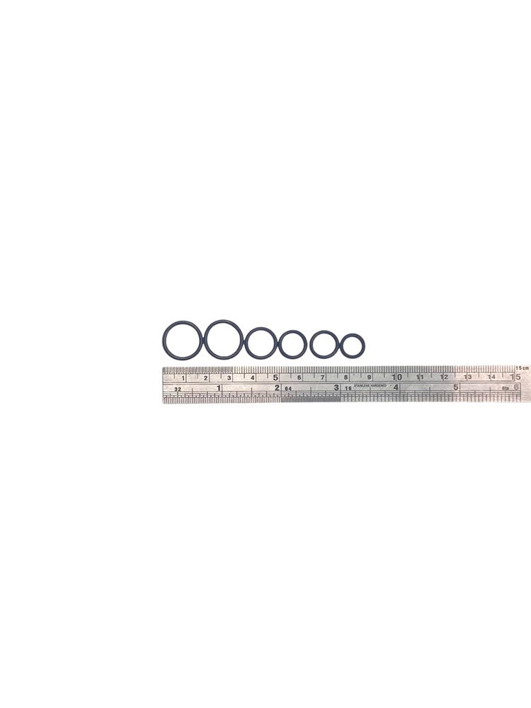 BrewBottler (gen2) O-Ring Kit